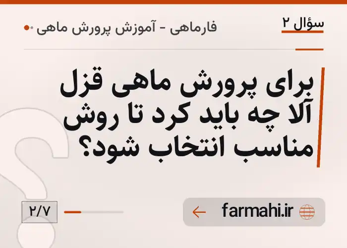 برای پرورش ماهی قزل آلا چه باید کرد تا روش مناسب انتخاب شود؟