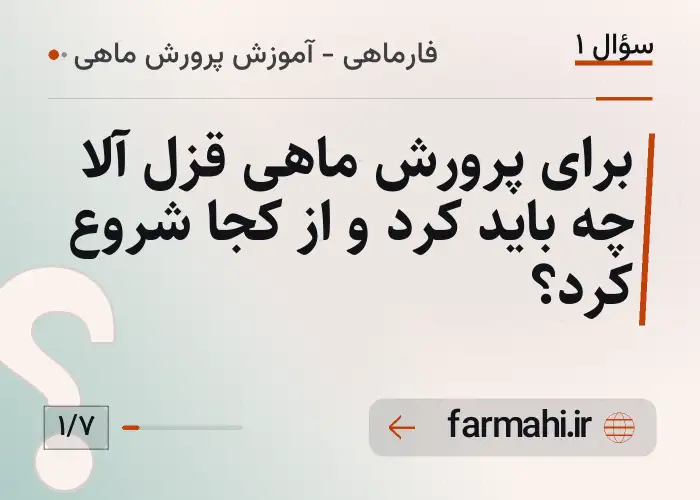 برای پرورش ماهی قزل آلا چه باید کرد و از کجا شروع کرد؟