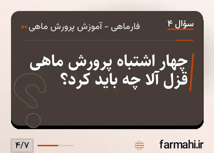 چهار اشتباه پرورش ماهی قزل آلا چه باید کرد؟