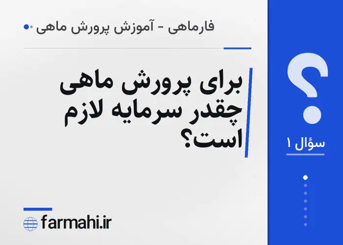 برای پرورش ماهی چقدر سرمایه لازم است؟
