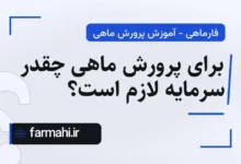 برای پرورش ماهی چقدر سرمایه لازم است؟