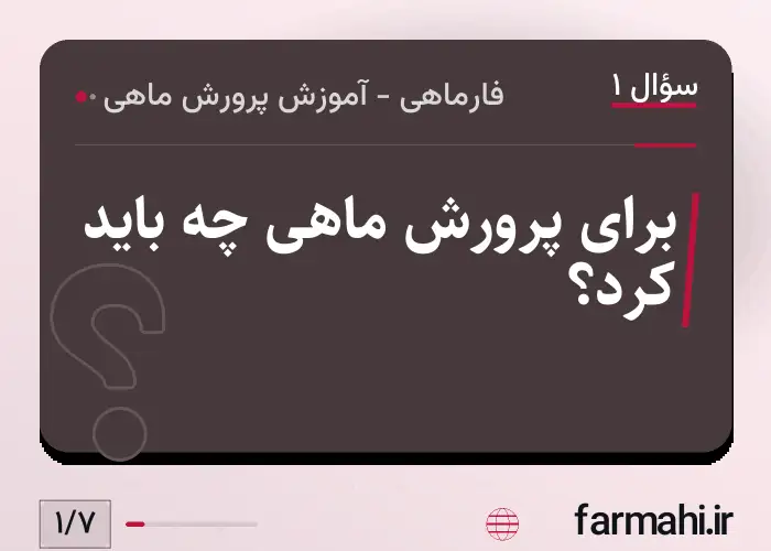 برای پرورش ماهی چه باید کرد؟