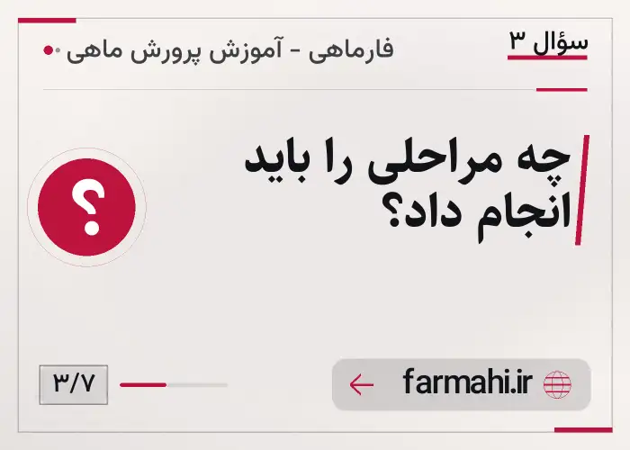 چه مراحلی را باید انجام داد؟