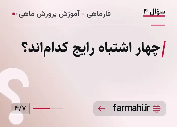 چهار اشتباه رایج کدام‌اند؟
