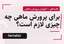 برای پرورش ماهی چه چیزی لازم است؟