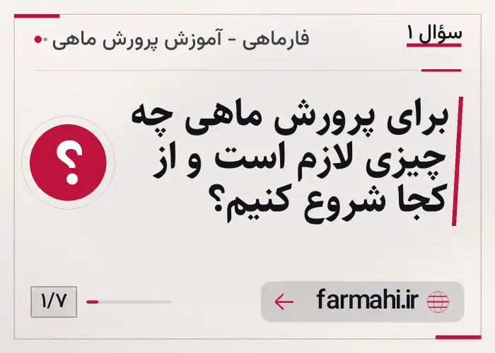 برای پرورش ماهی چه چیزی لازم است و از کجا شروع کنیم؟