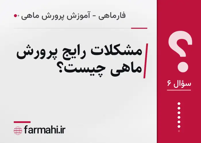 مشکلات رایج پرورش ماهی چیست؟