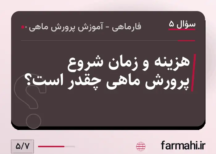 هزینه و زمان شروع پرورش ماهی چقدر است؟