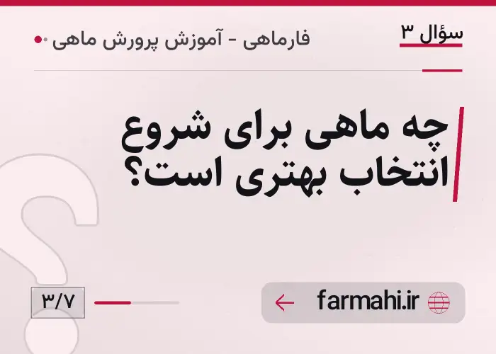 چه ماهی برای شروع انتخاب بهتری است؟