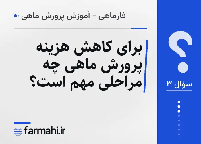 برای کاهش هزینه پرورش ماهی چه مراحلی مهم است؟