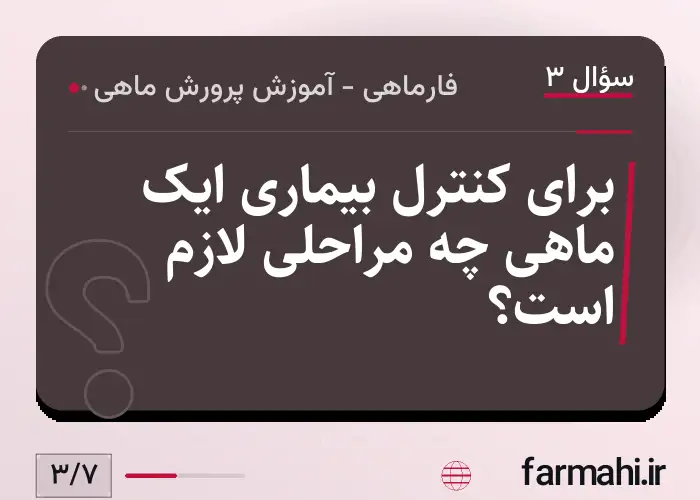 برای کنترل بیماری ایک ماهی چه مراحلی لازم است؟