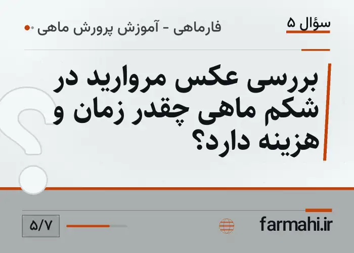 بررسی عکس مروارید در شکم ماهی چقدر زمان و هزینه دارد؟