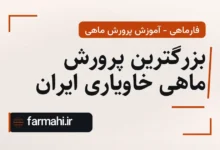بزرگترین پرورش ماهی خاویاری ایران