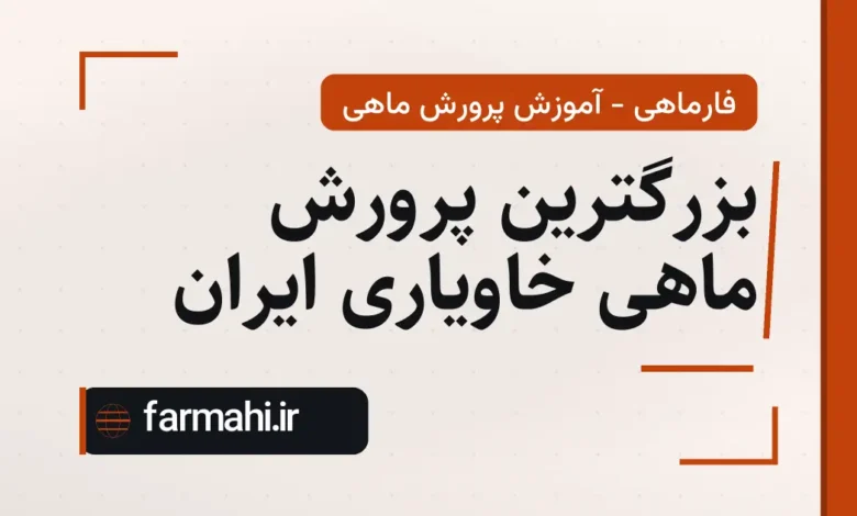 بزرگترین پرورش ماهی خاویاری ایران