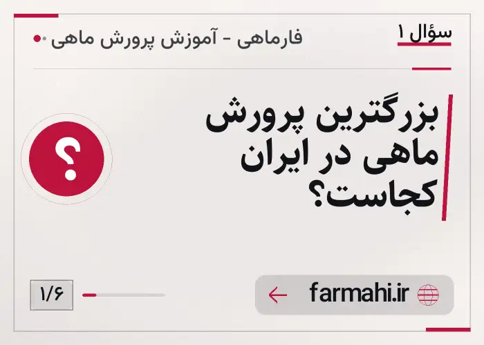 بزرگترین پرورش ماهی در ایران کجاست؟
