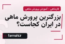 بزرگترین پرورش ماهی در ایران کجاست؟