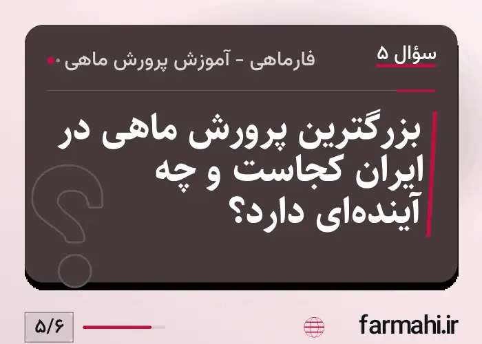 بزرگترین پرورش ماهی در ایران کجاست و چه آینده‌ای دارد؟