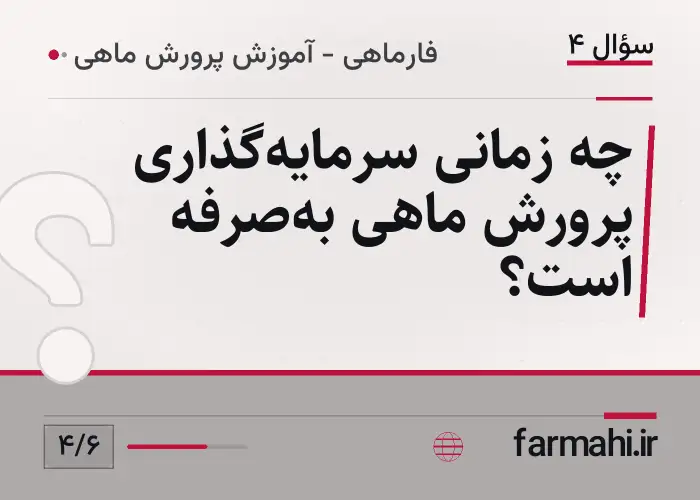 چه زمانی سرمایه‌گذاری پرورش ماهی به‌صرفه است؟