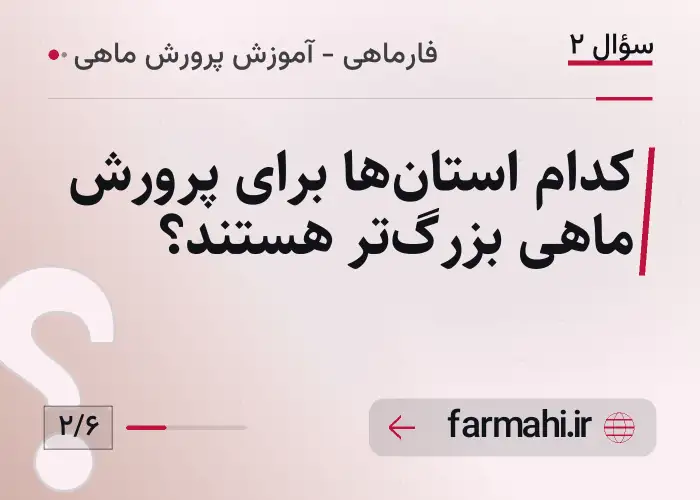 کدام استان‌ها برای پرورش ماهی بزرگ‌تر هستند؟