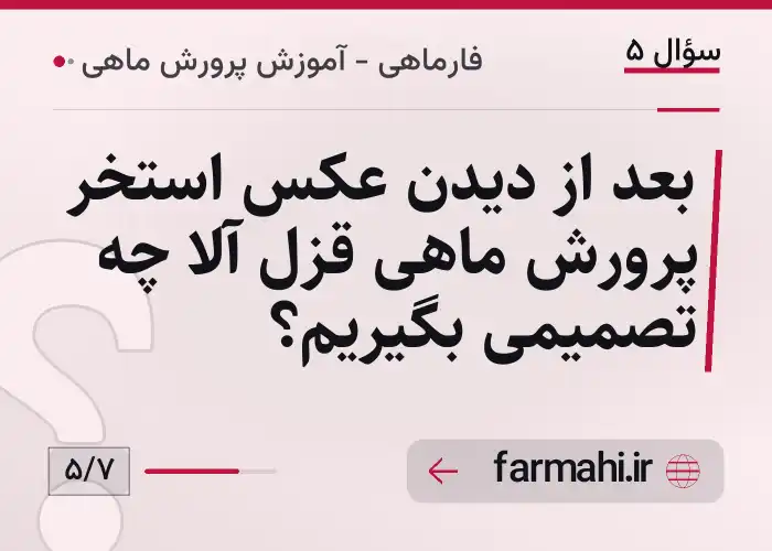 بعد از دیدن عکس استخر پرورش ماهی قزل آلا چه تصمیمی بگیریم؟