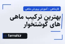 بهترین ترکیب ماهی های گوشتخوار