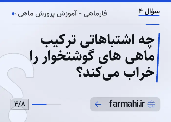 چه اشتباهاتی ترکیب ماهی های گوشتخوار را خراب میکند؟