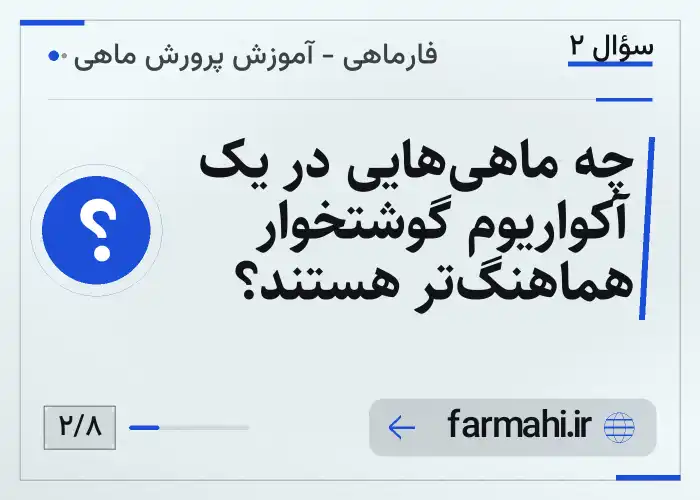 چه ماهی‌هایی در یک آکواریوم گوشتخوار هماهنگ‌تر هستند؟