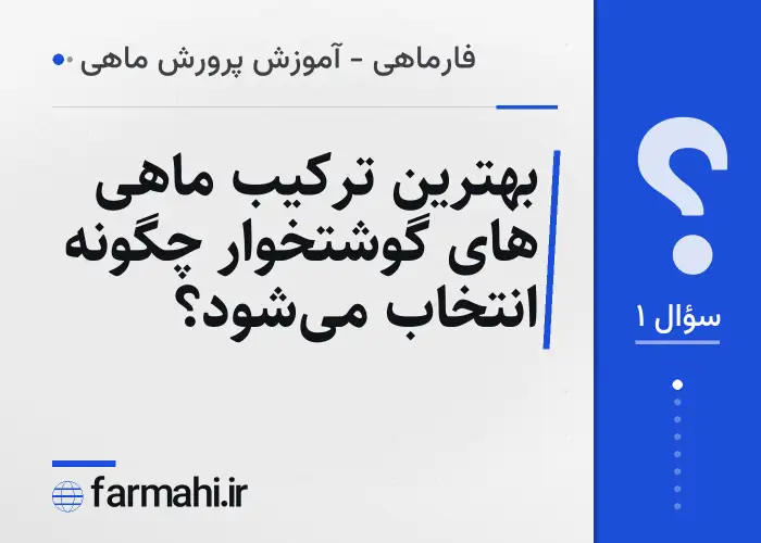 بهترین ترکیب ماهی های گوشتخوار چگونه انتخاب می‌شود؟