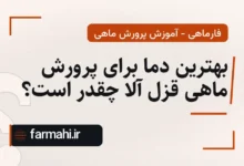 بهترین دما برای پرورش ماهی قزل آلا چقدر است؟