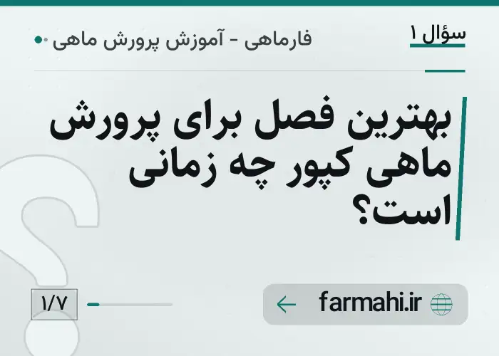 بهترین فصل برای پرورش ماهی کپور چه زمانی است؟