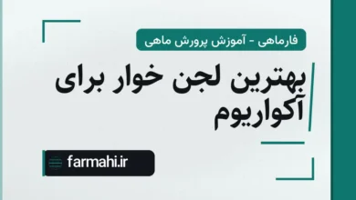 بهترین لجن خوار برای آکواریوم