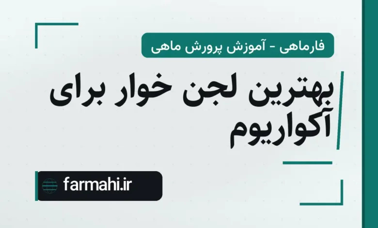 بهترین لجن خوار برای آکواریوم