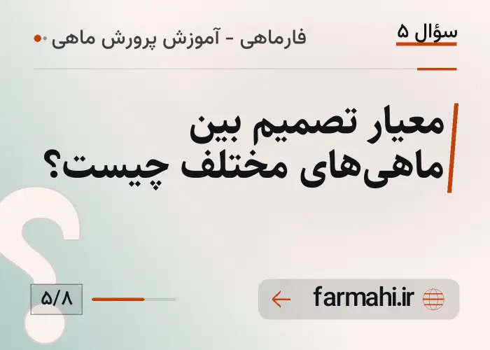 معیار تصمیم بین ماهی‌های مختلف چیست؟