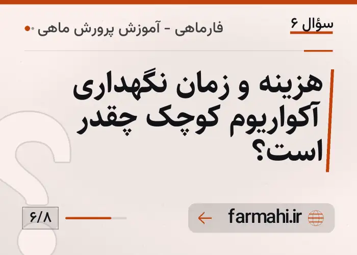 هزینه و زمان نگهداری آکواریوم کوچک چقدر است؟