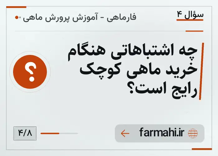 چه اشتباهاتی هنگام خرید ماهی کوچک رایج است؟