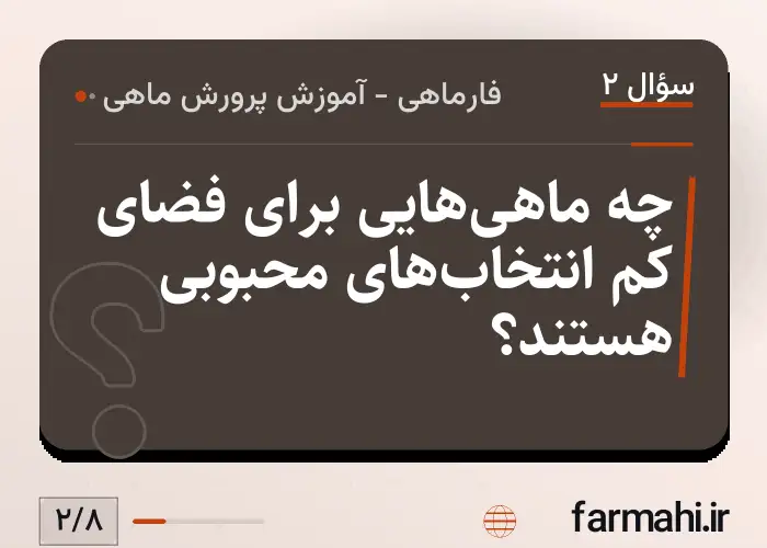 چه ماهی‌هایی برای فضای کم انتخاب‌های محبوبی هستند؟
