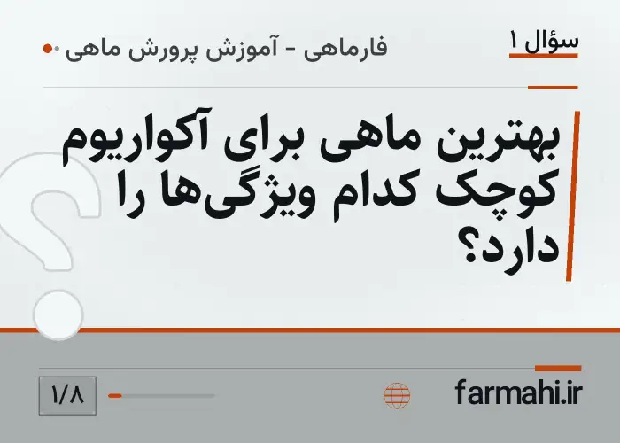 بهترین ماهی برای آکواریوم کوچک کدام ویژگی‌ها را دارد؟