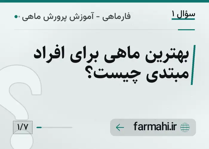 بهترین ماهی برای افراد مبتدی چیست؟