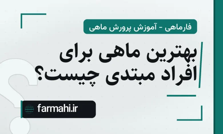بهترین ماهی برای افراد مبتدی چیست؟