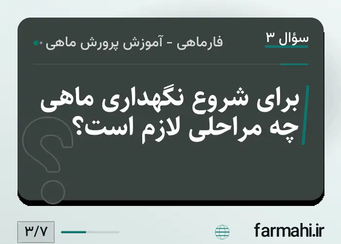 برای شروع نگهداری ماهی چه مراحلی لازم است؟