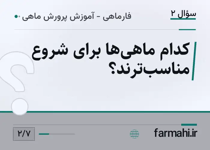 کدام ماهی‌ها برای شروع مناسب‌ترند؟