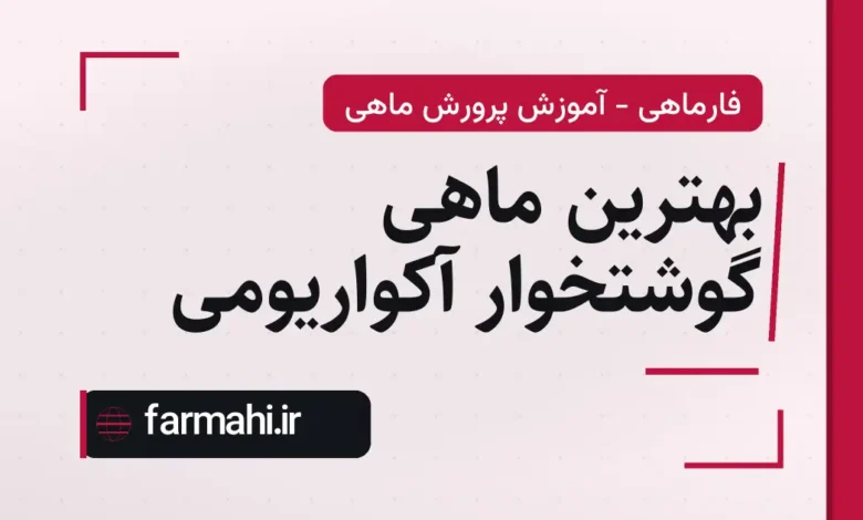 بهترین ماهی گوشتخوار آکواریومی
