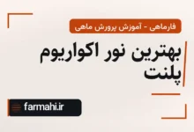 بهترین نور اکواریوم پلنت