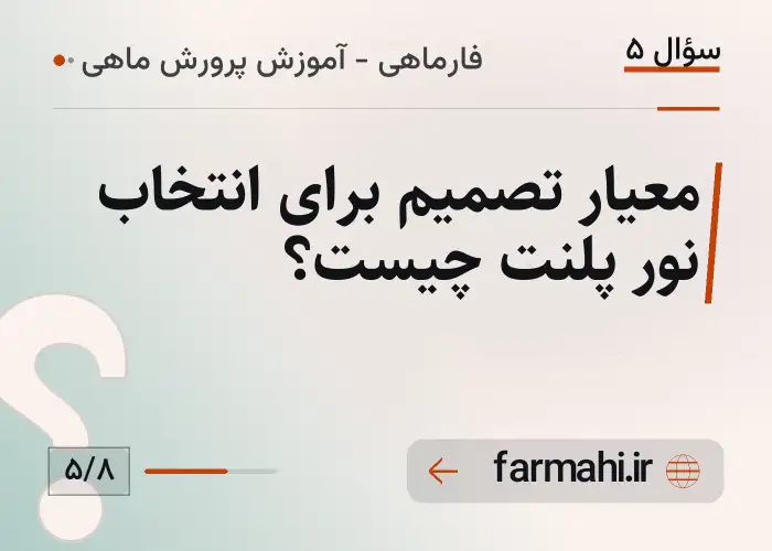 معیار تصمیم برای انتخاب نور پلنت چیست؟