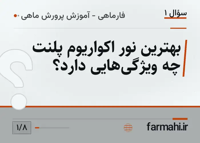 بهترین نور اکواریوم پلنت چه ویژگی‌هایی دارد؟