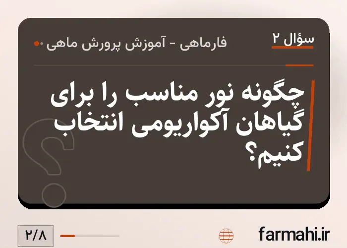 چگونه نور مناسب را برای گیاهان آکواریومی انتخاب کنیم؟