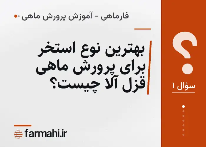 بهترین نوع استخر برای پرورش ماهی قزل آلا چیست؟