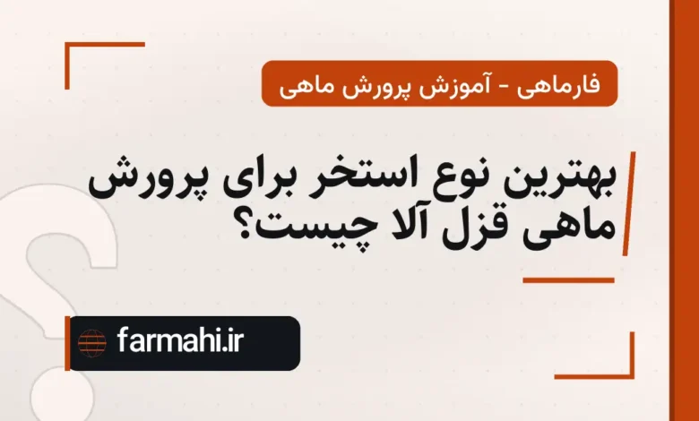 بهترین نوع استخر برای پرورش ماهی قزل آلا چیست؟