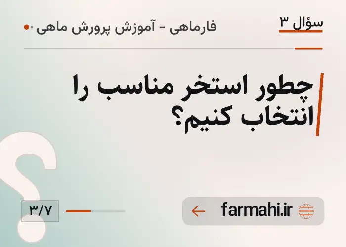 چطور استخر مناسب را انتخاب کنیم؟
