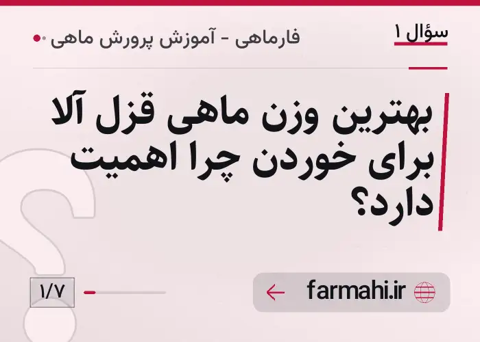 بهترین وزن ماهی قزل آلا برای خوردن چرا اهمیت دارد؟
